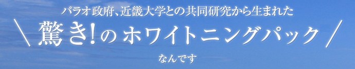パワーストーン・誕生石「Pascle(パスクル)」